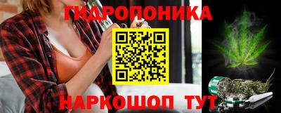 индика Обь