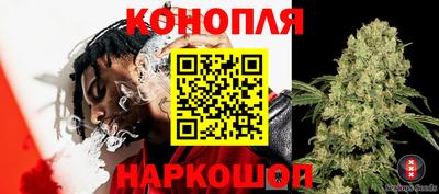 индика Обь