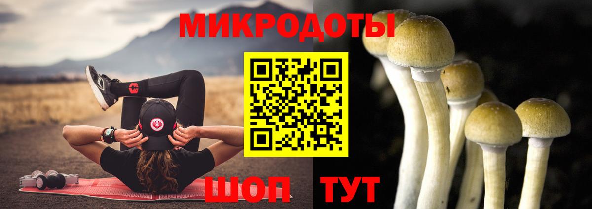 где купить   Вход с VPN  Уварово  Псилоцибиновые грибы прущие грибы 